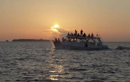 Sunset cruise