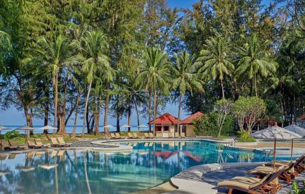 a group of palm trees next to a body of water