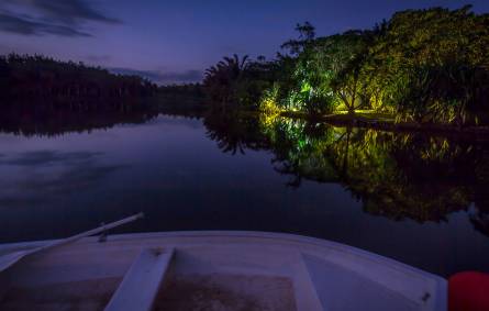 Night view