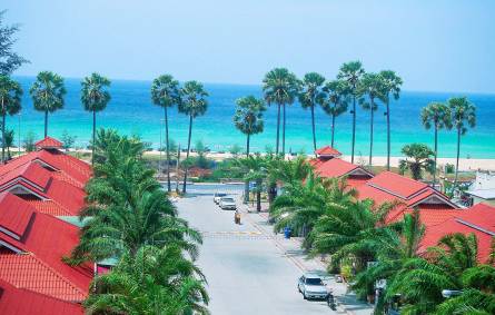 a view of a city with tall buildings and palm trees