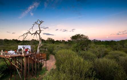 Chalkley Treehouse