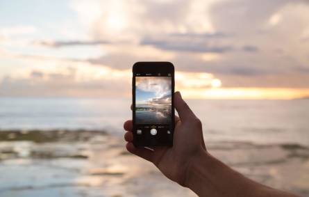 a hand holding a cellphone