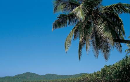 Goa Beach