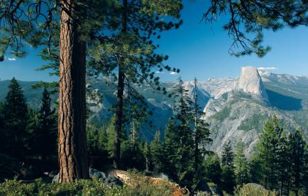 Yosemite Natioanl Park