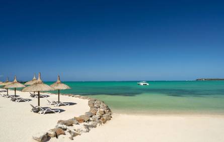 an umbrella sitting on top of a sandy beach next to the ocean