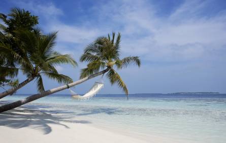 Hammock on the beach