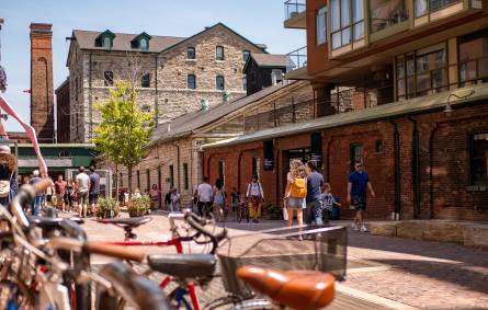 Things To Do In Toronto