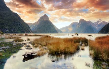 Things To Do In New Zealand