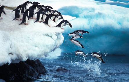 Quark Expeditions Buy-One-Get-One-Free Offer
