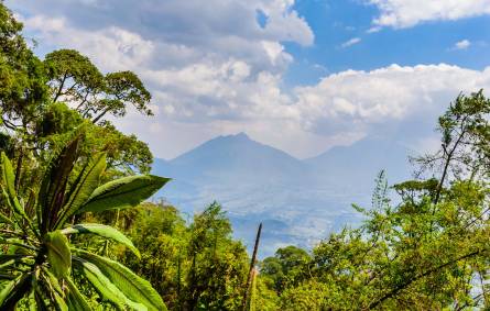 Mount Bisoke Rwanda