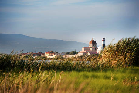 Cycling the Wetlands of Sardinia