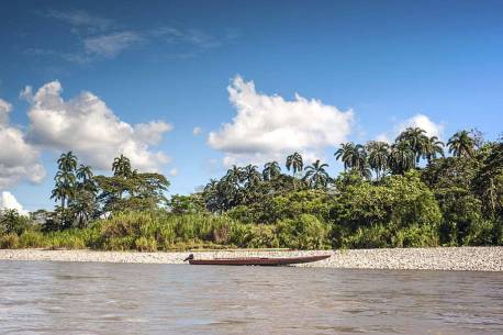 Napo River, Amazonian Ecuador