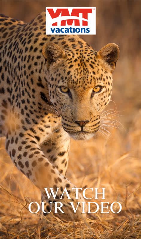 Know Your Destination – South Africa Safari Tour-2