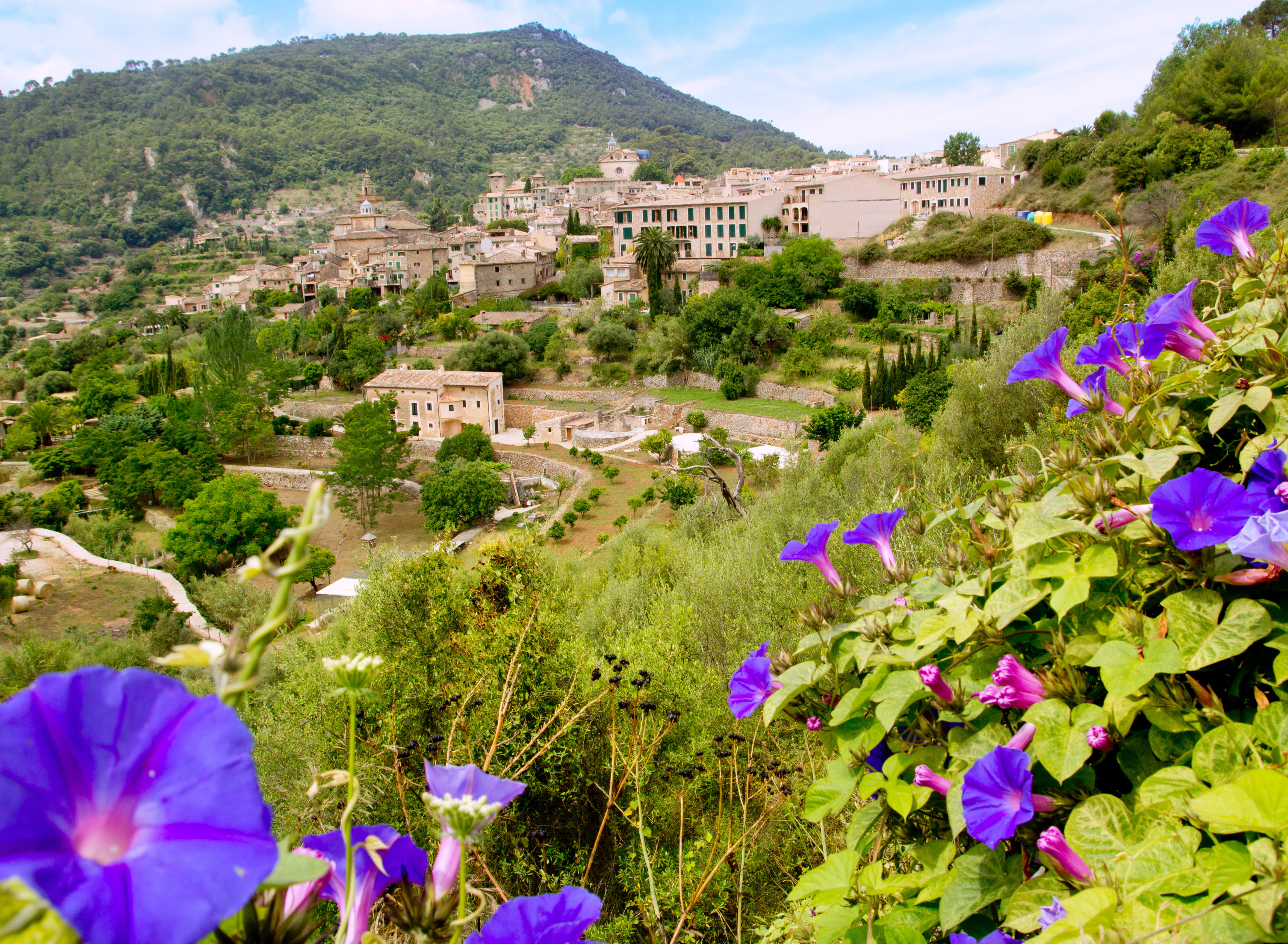 Blooming Marvellous: Guide to Flowers in Europe