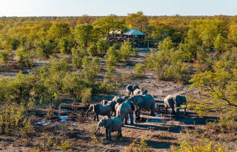 Elephant Pools