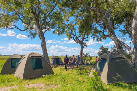 Wildlife & Wilderness of Botswana