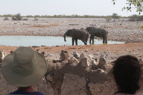 Botswana & Namibia: Delta & Dunes