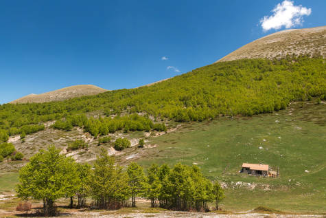 Italian Apennines: Walks & Wildlife