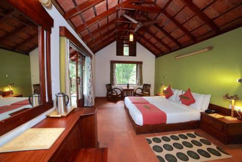 Discover South India – Premium Adventure