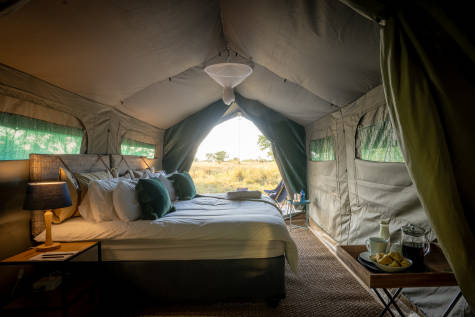 Kruger Safari Highlights – Premium Adventure