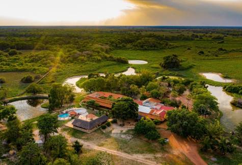 Land of the Jaguar Photographic Safari with Paul Goldstein