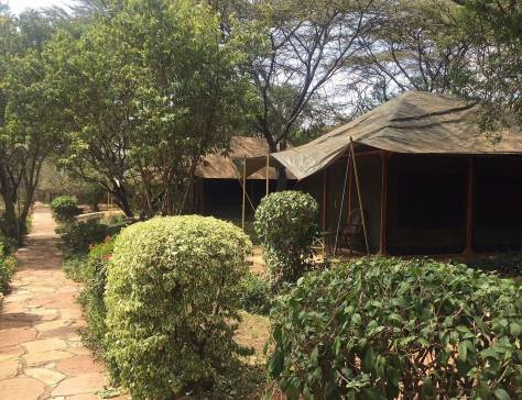 Kenya & Tanzania Adventure