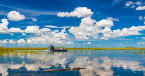 Florida har något för alla