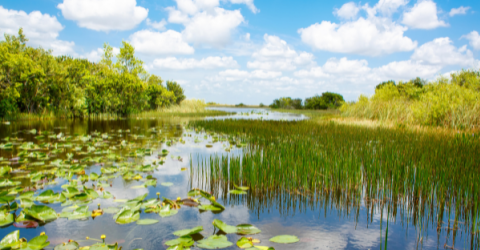 Roadtrip: Sol och roliga äventyr i Florida