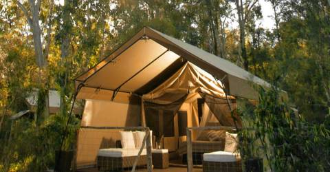 Australien - New South Wales - Paperbark Camp - Deluxe (3)_0