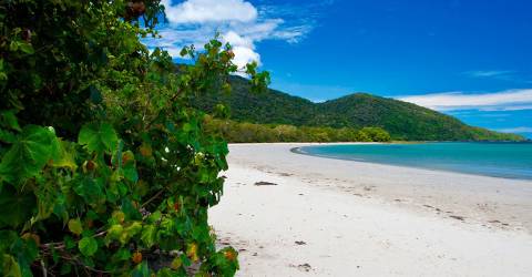 Australien - Queensland - Cape Tribulation - strand 1.jpg