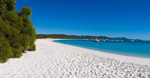 Australien - Queensland - Great Barrier Reef - Whitsundays - Whitehaven beach 4 (Custom)