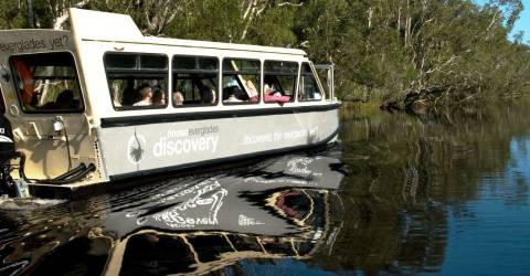 Australien - Queensland - Noosa Everglades (Custom).jpg