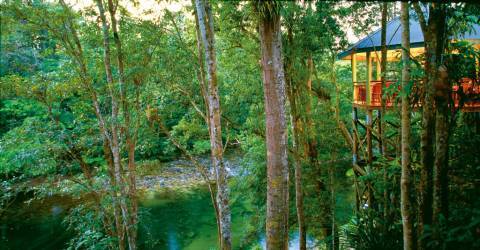 Australien - Queensland - QLD - Silky-Oaks-Lodge-The-Daintree-The-Jungle-Perch-from-Treehouse-Restaurant-1024x687