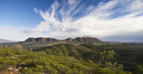 Australien - South Australia - Flinders Ranges - Wilpena Pound (7)