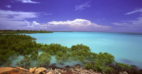 Australien - Western Australia - Broome - Roebuck Bay_0