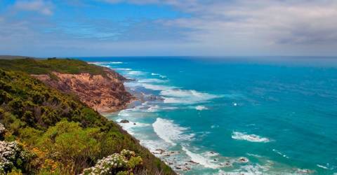 Australien - victoria - Great Ocean Road - Great Otway National Park.jpg