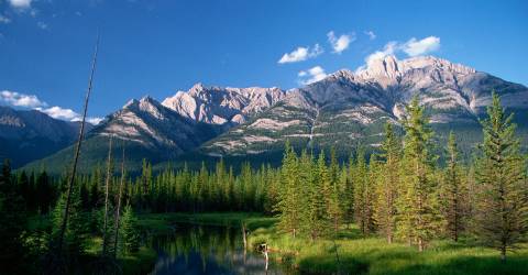 Canada - Alberta - Banff - Bow River Valley