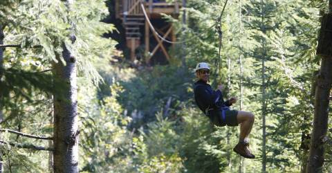 Canada - British Columbia - Whistler Ziptrek - Ecotours.jpg