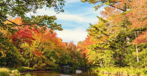 Canada - Nova Scotia - Kejimkujik National Park_0