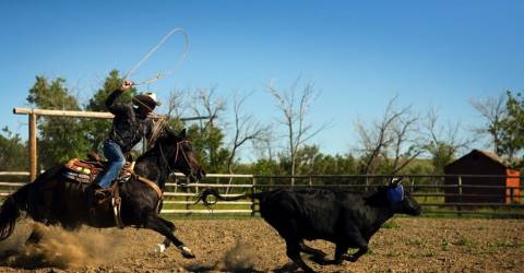 Canada - Saskatchewan - La Reata Ranch 2.jpg