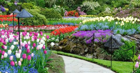 Canada - british columbia - butchart gardens.jpg