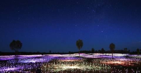 Field of Light Uluru - Landscape.jpeg