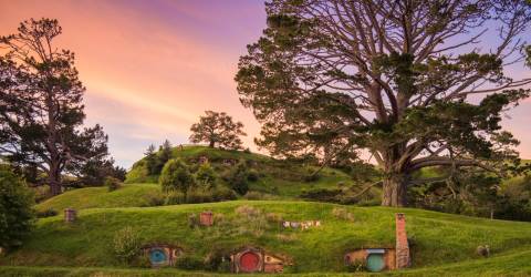 Hobbiton Movie Set 9