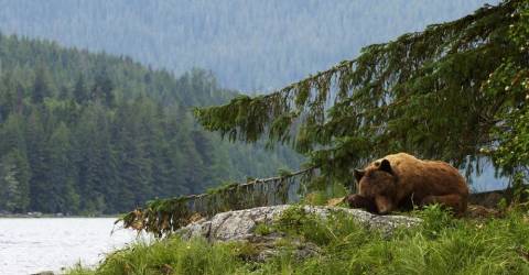 Knight Inlet Lodge - Canada.jpg