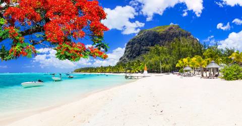 Vit sandstrand som möter turkost hav i soliga Mauritius