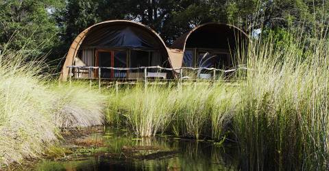 MyPlanet - Botswana Tours - Okavango Delta - Okuti Camp - dinner (7).jpg