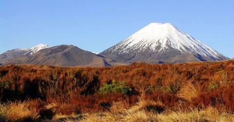 Snötäckt vulkan i Tongariro National Park, Nya Zeeland