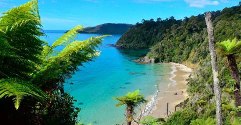 New Zealand - South Island - Steward Island - Rakiura.jpg