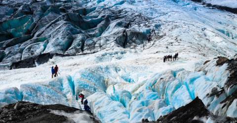 Resa till Franz Josef och Fox glaciärerna!