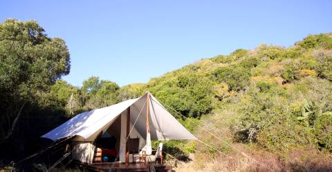 Sydafrika - Amakhala Game Reserve - Quatermains Camp 50